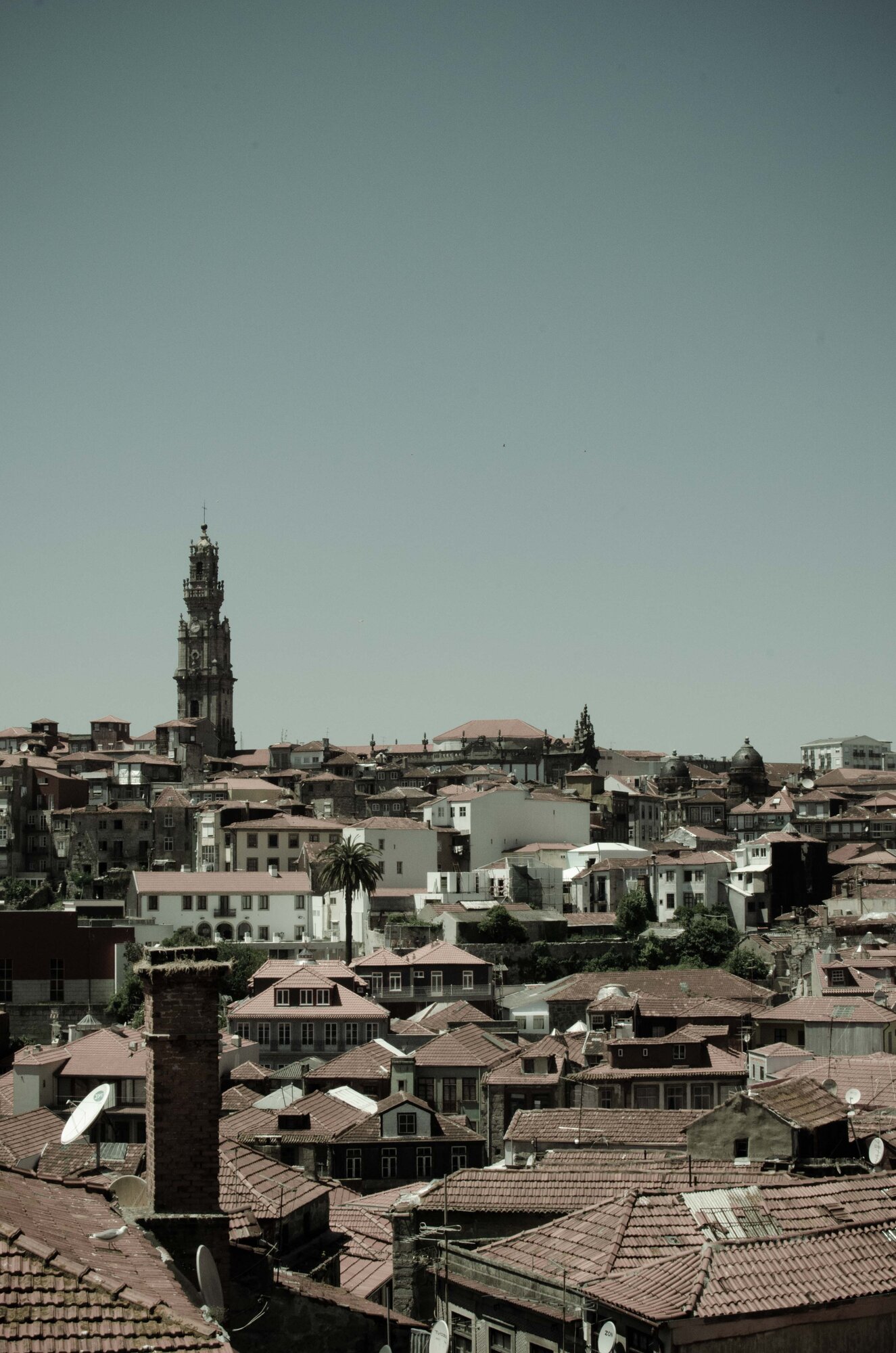 Telhados do Porto vistos do alto